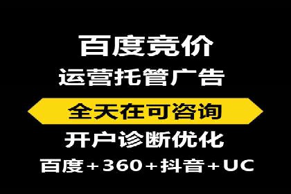 网站sem托管服务提供商的成功案例分析